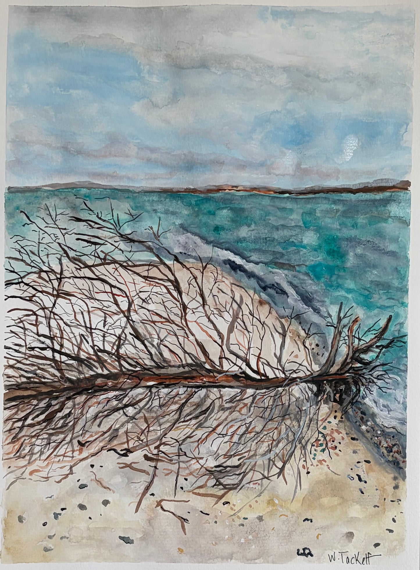 Saltwater Bones