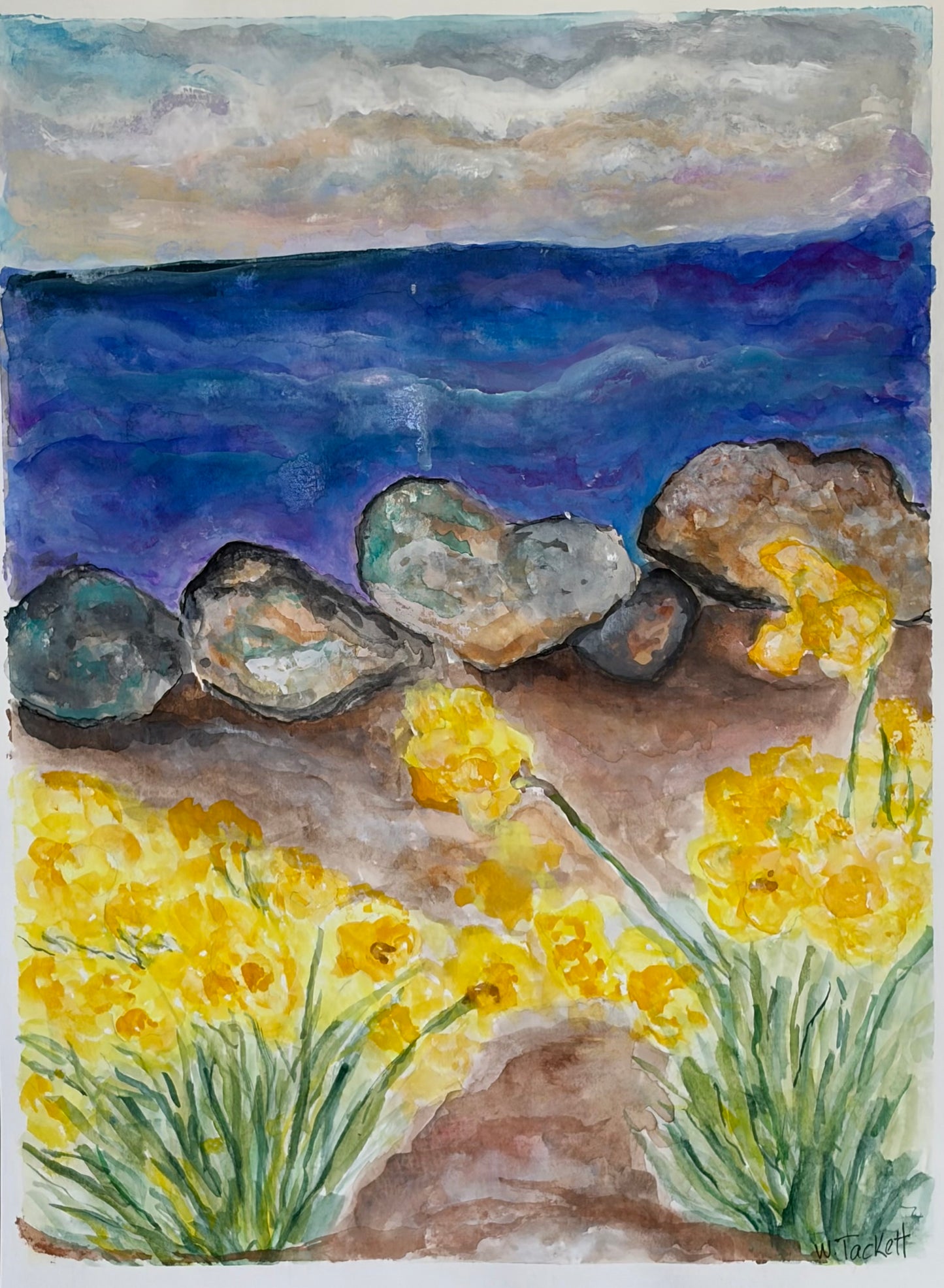 Rocky Coast in Bloom
