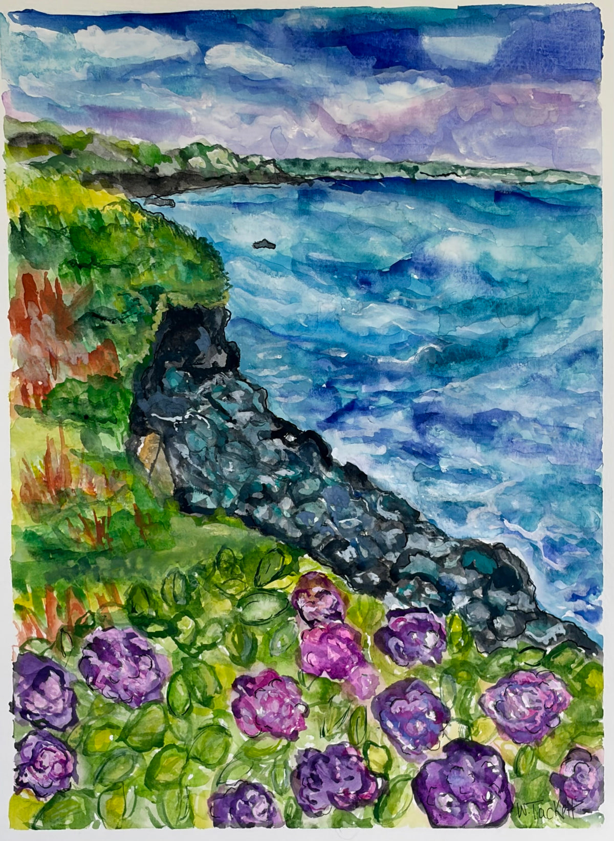 Clifftop Bloom