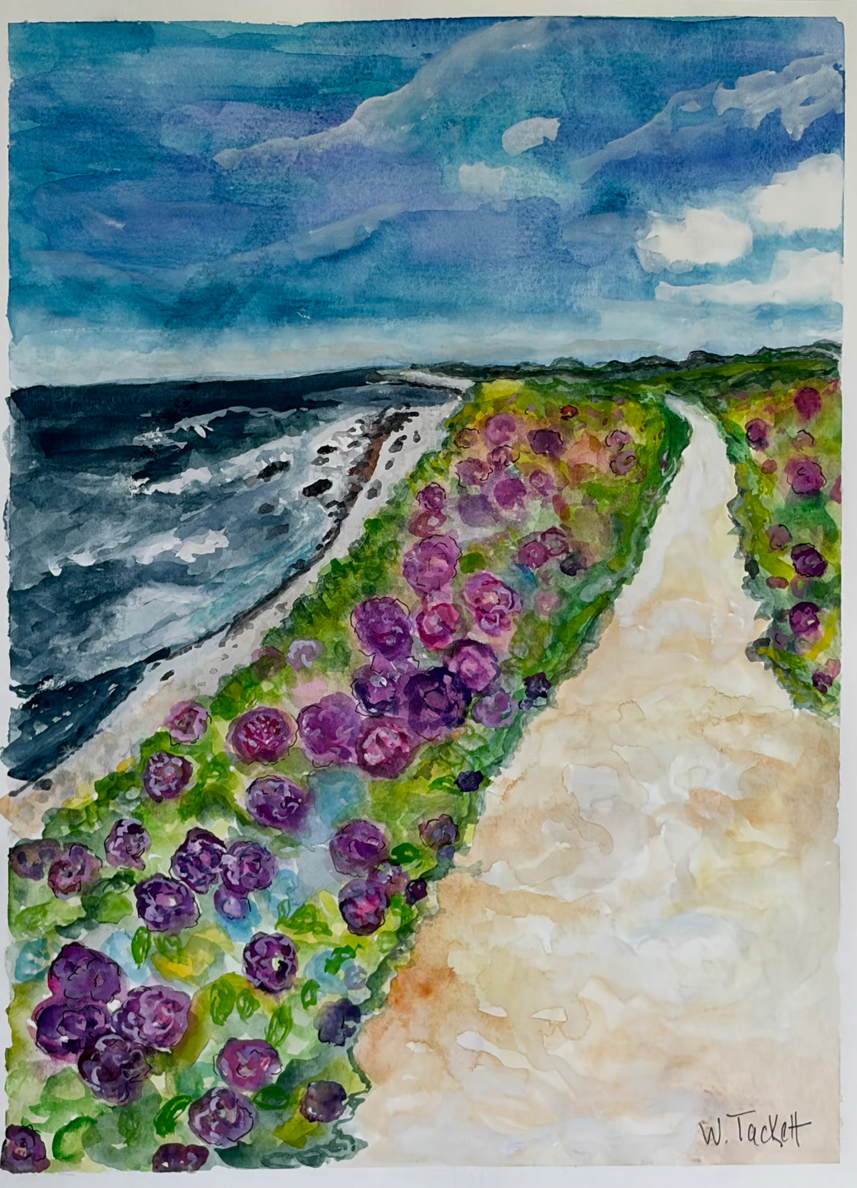 Hydrangeas Along the Shore
