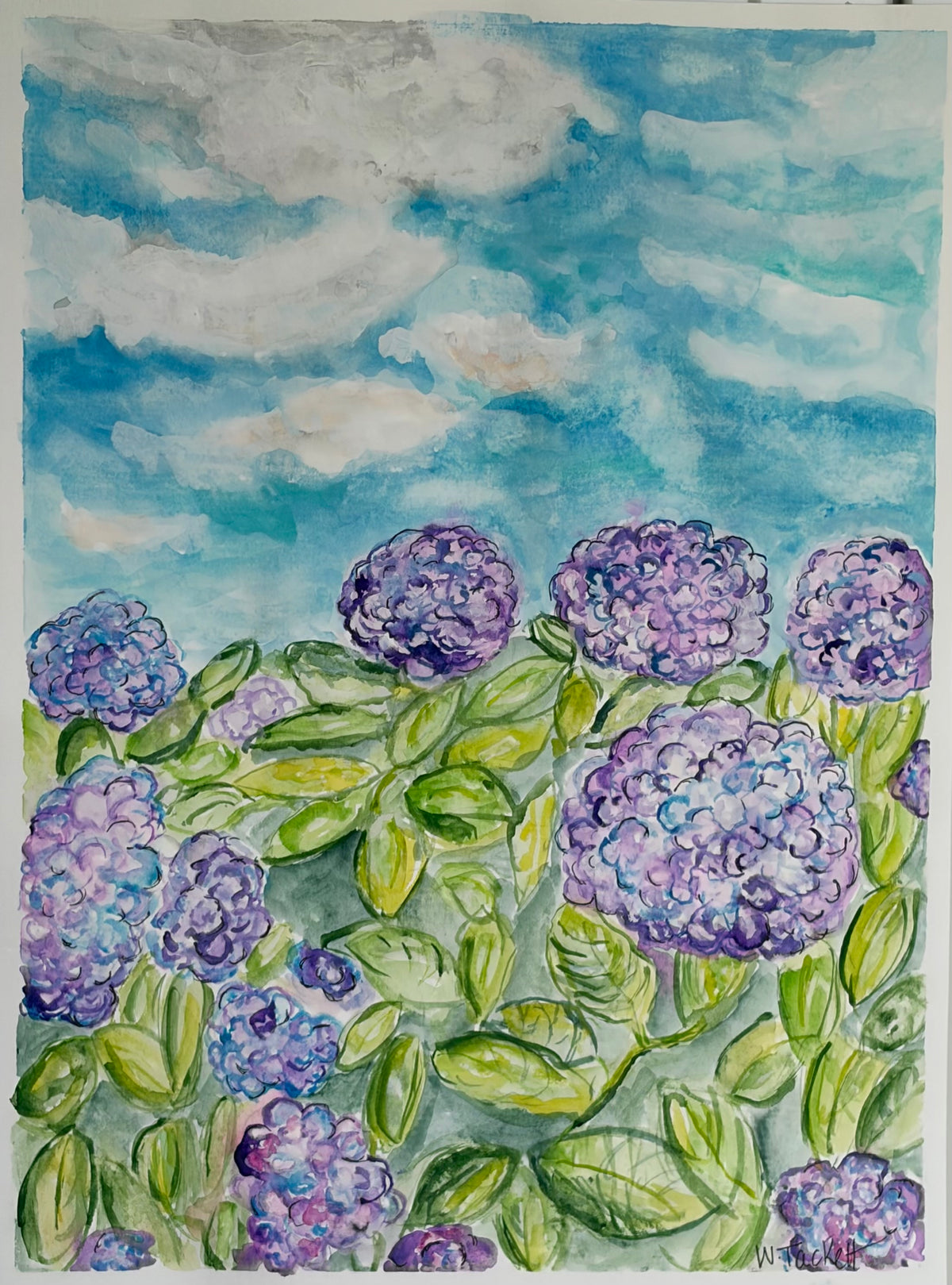 Hydrangea Sky