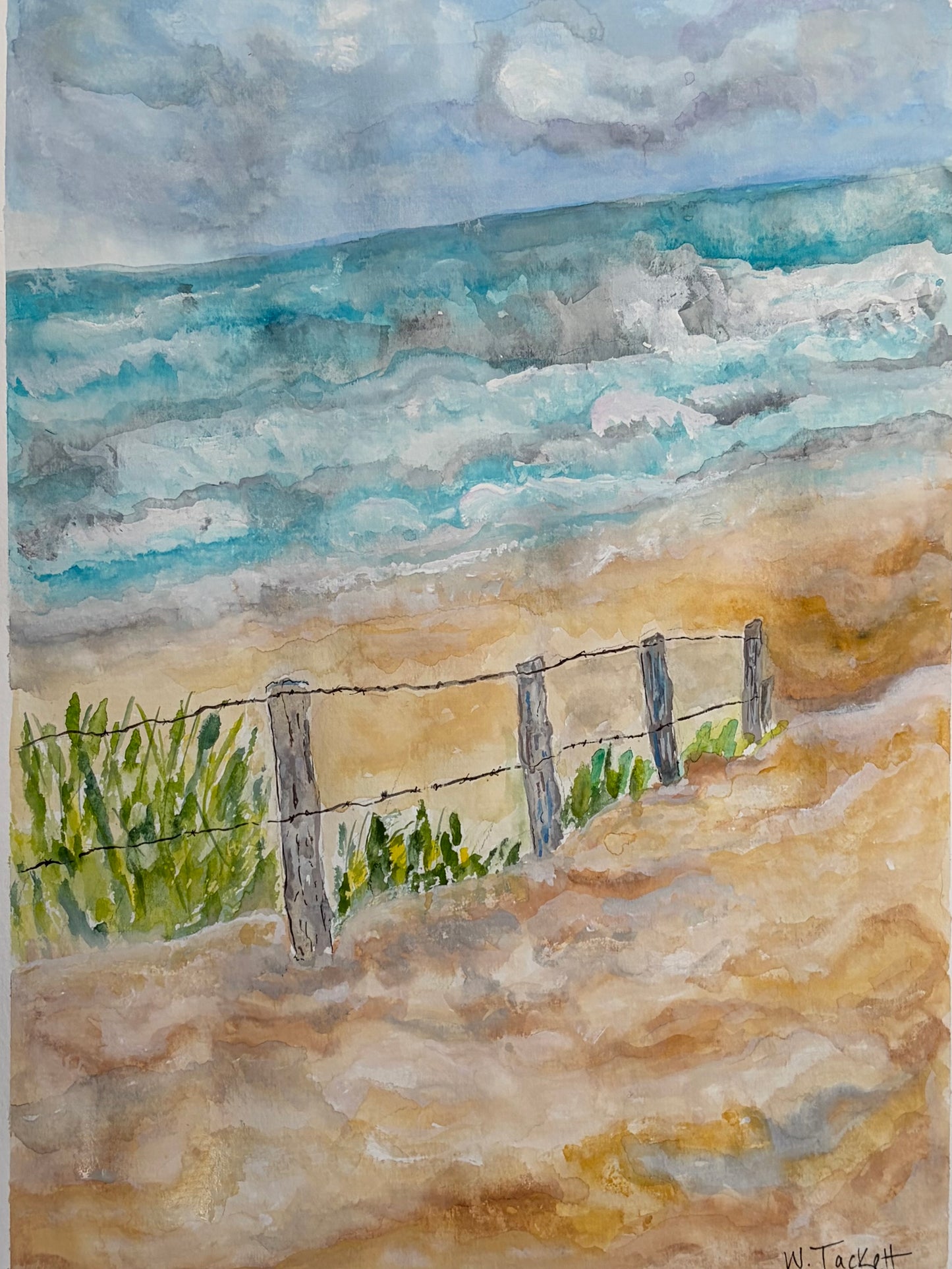 Beyond the Dune Grass