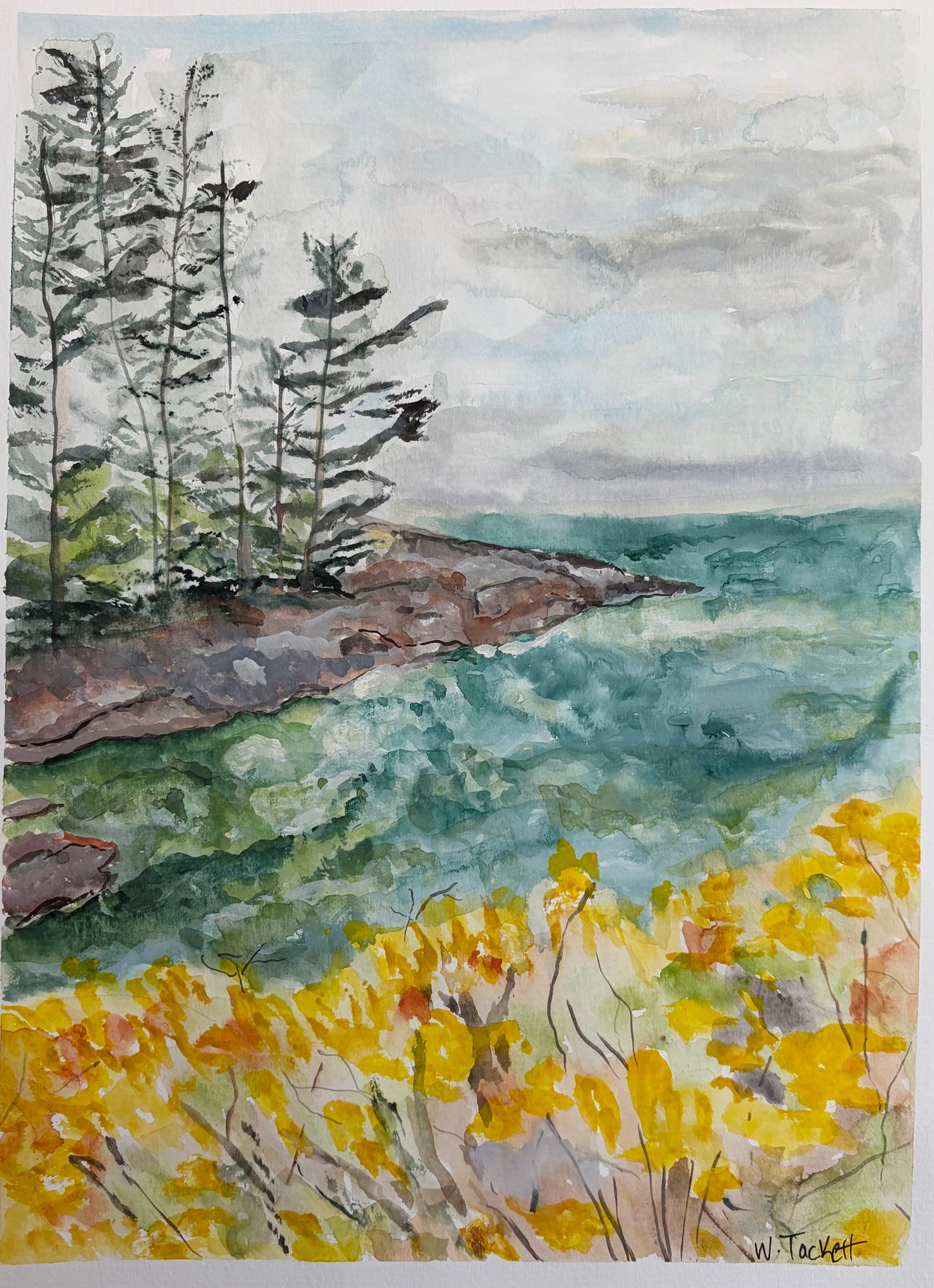 Where the Pine Meets the Sea