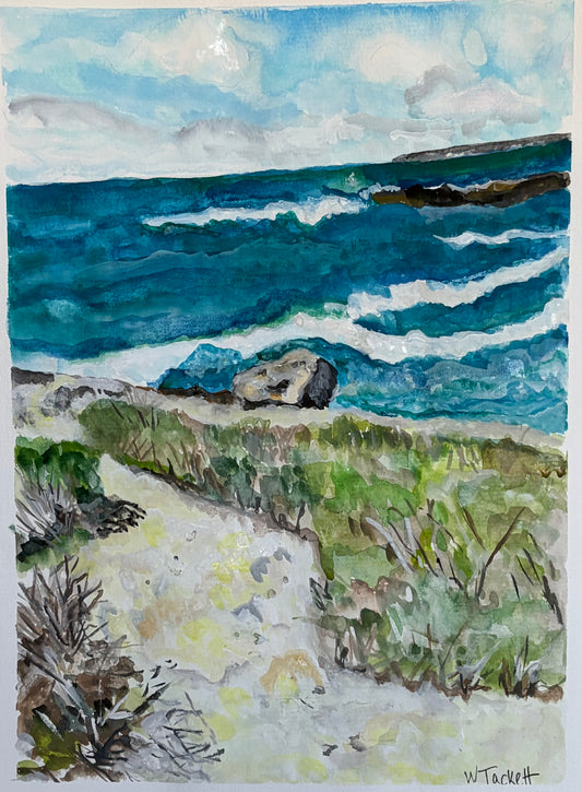 Windswept Path