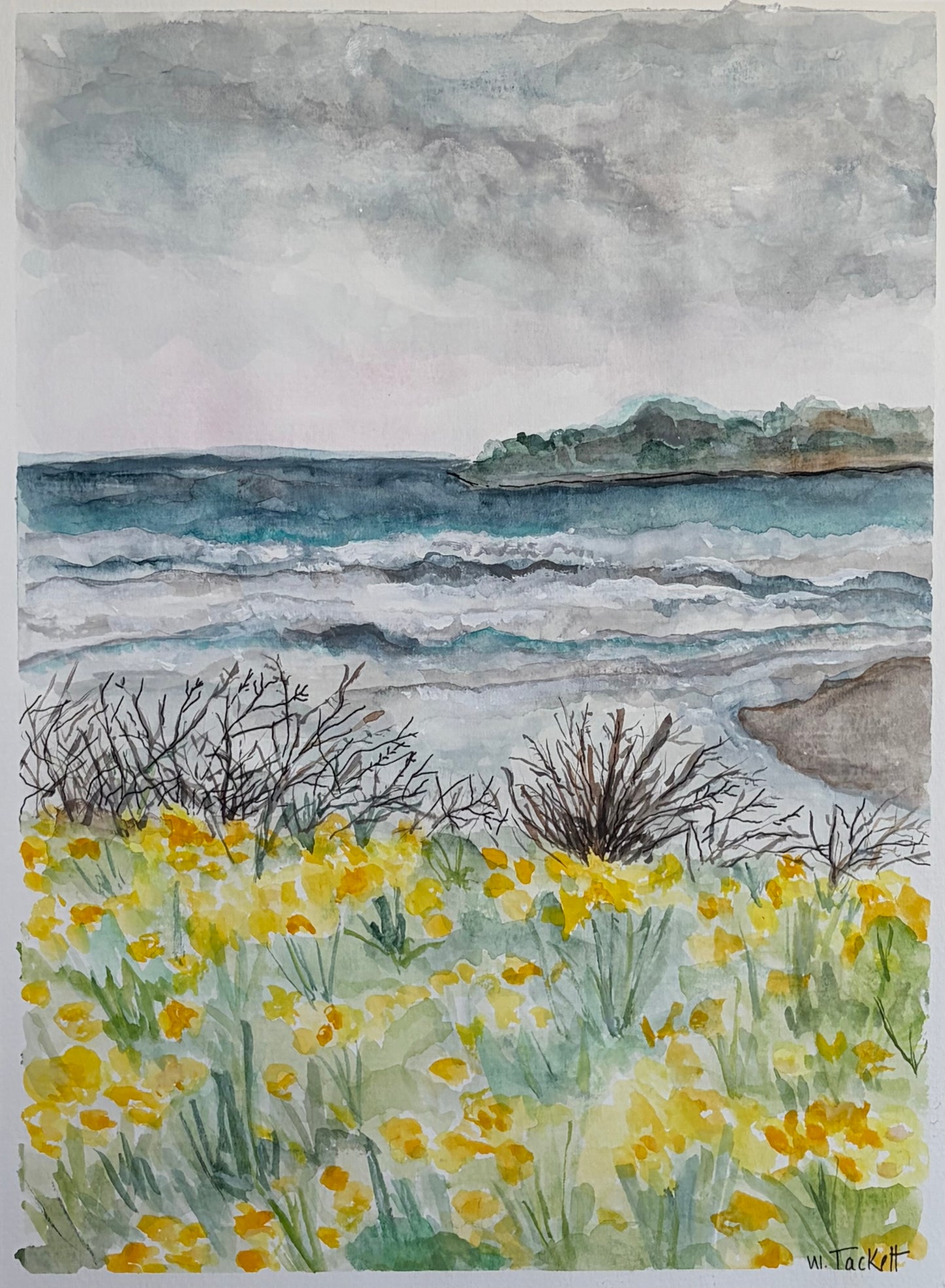 Storm Light Over the Daffodil Shore