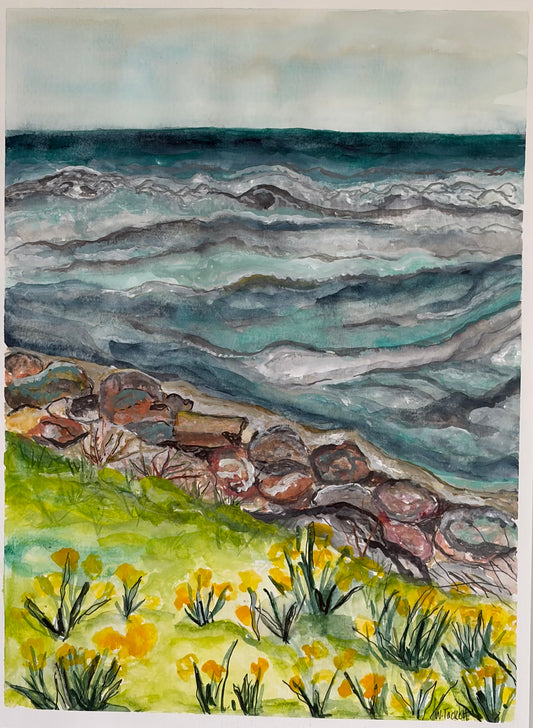 Restless Shoreline