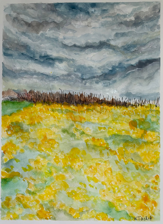 Where Yellow Dreams of Sun
