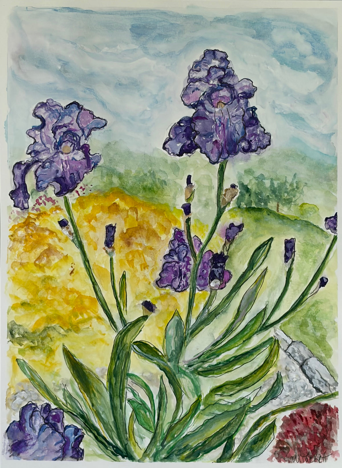 Sunlit Irises