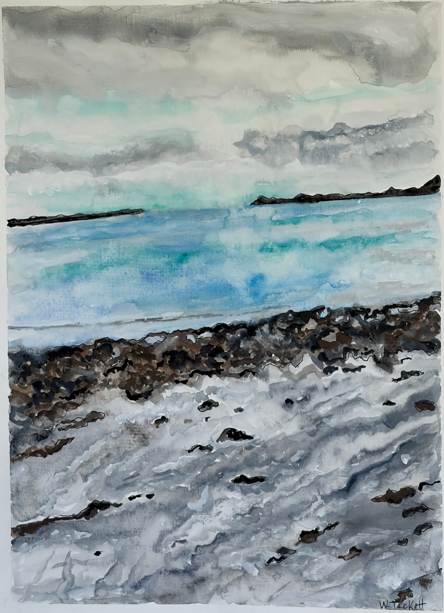 Seaweed Between the Tides