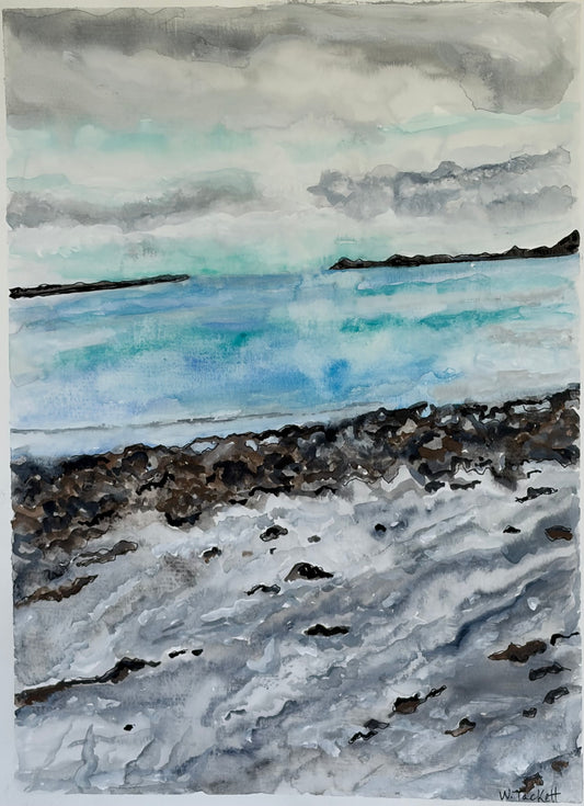 Seaweed Between the Tides